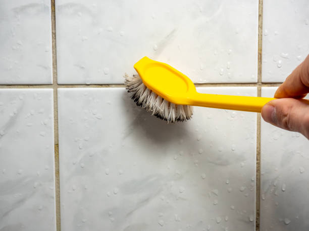 Best Mold Testing and Removal  in Mount Pleasant, TN